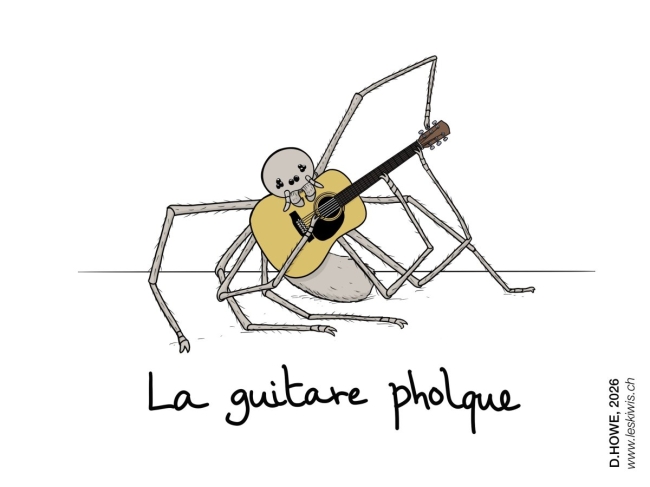 Carte postale guitare pholque 