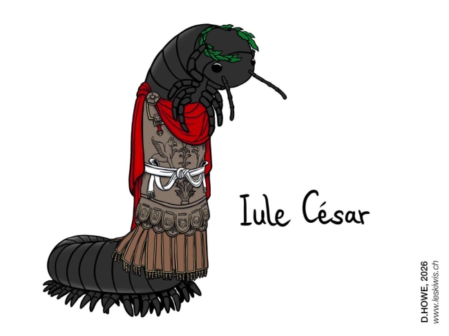 Carte postale iule César