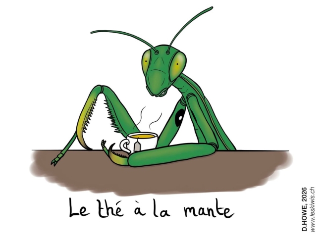 Carte postale thé à la mante
