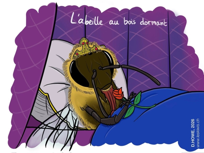 Carte postale l’abeille au bois dormant 